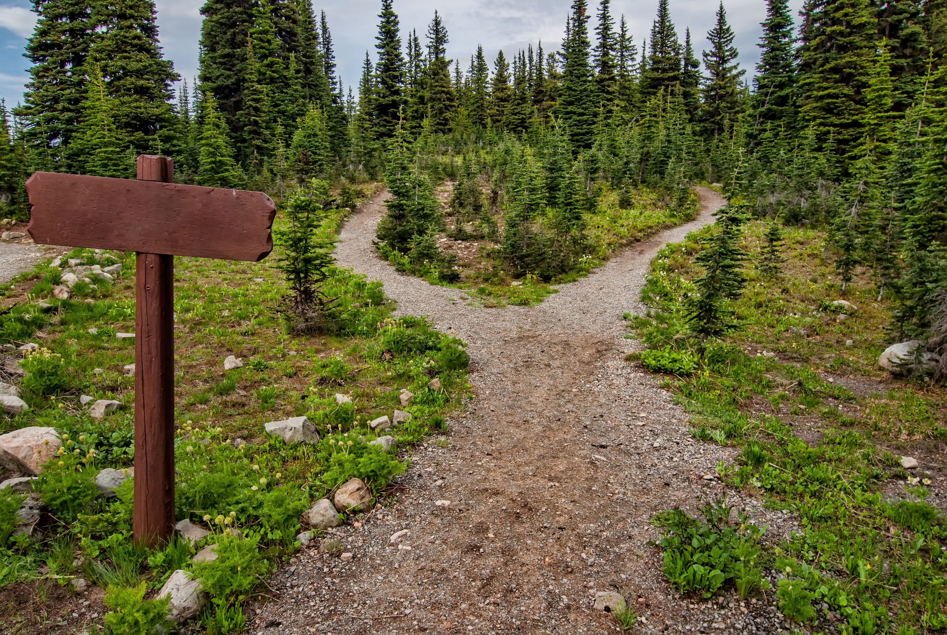 Google Ads vs Meta Ads: Where to Start